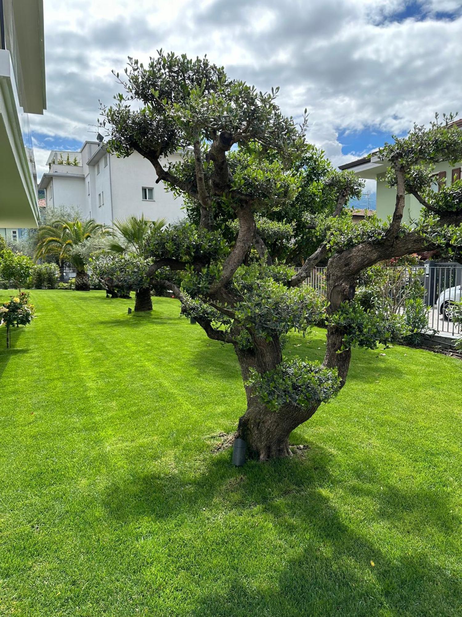 Residence Villa Dalila - Appartamento Dalila Riva del Garda Exteriér fotografie